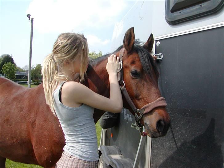 Hollandsk Sportspony Magic Bonnie (1997-2009) billede 4