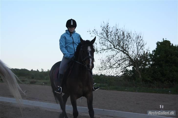 Anden særlig race Jonatan<3 (rideskole.pony) *himmelpony - mig og drengen i en ridetime ;) Foto: af Marie billede 12