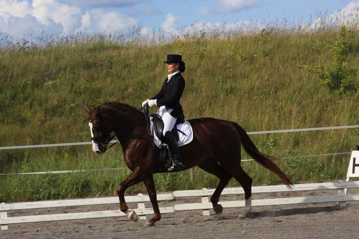 Dansk Varmblod Agersbøls Smilla - Stævne i RKV juni -09 Mb0 billede 14