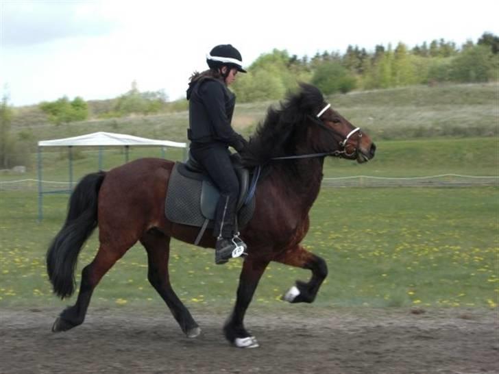 Islænder Somi - somi tølt til pyttur stævne 2009<3 første stævne<3 billede 17
