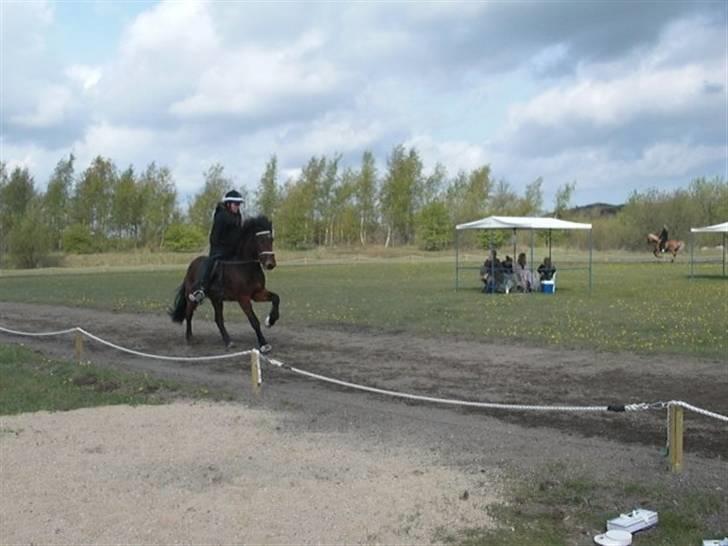 Islænder Somi - somi galop første stævne <3 elsker min hest<3 billede 18