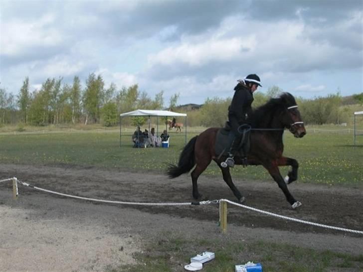Islænder Somi - Somi i galop til pytturs 1-3 maj stævne 2009 første stævne<3 billede 19