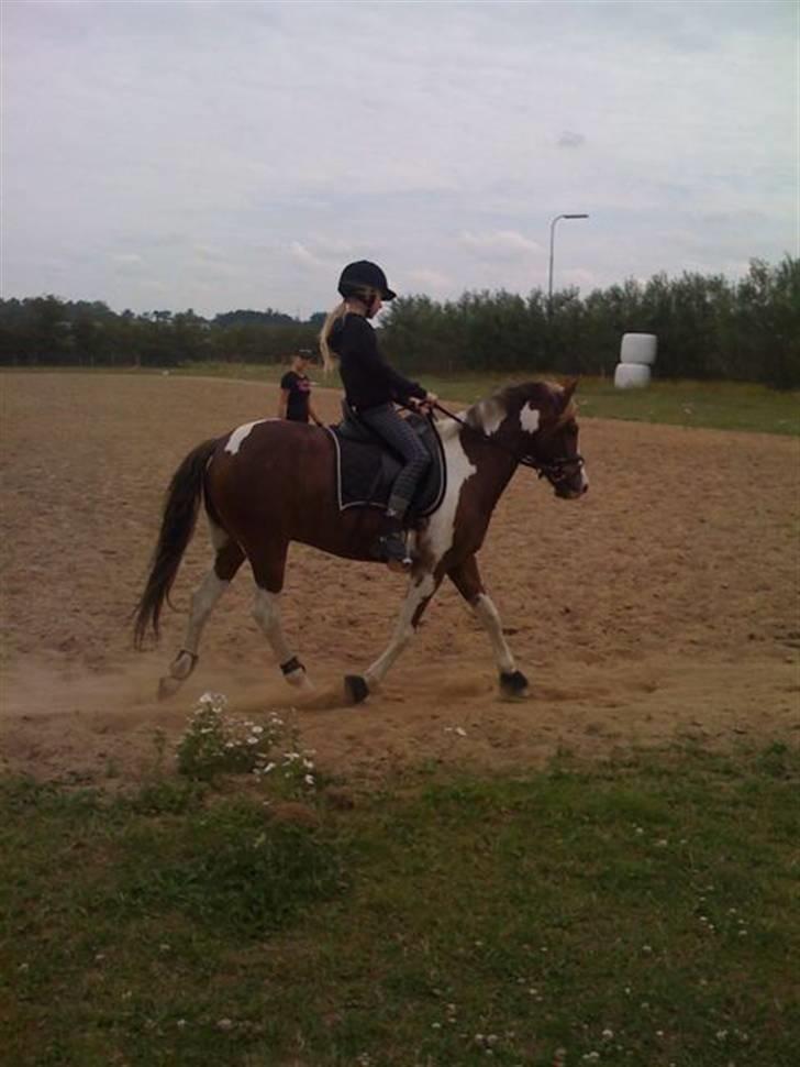 Anden særlig race Prinz - Første gang jeg prøvede ham
Billede: Mor billede 10