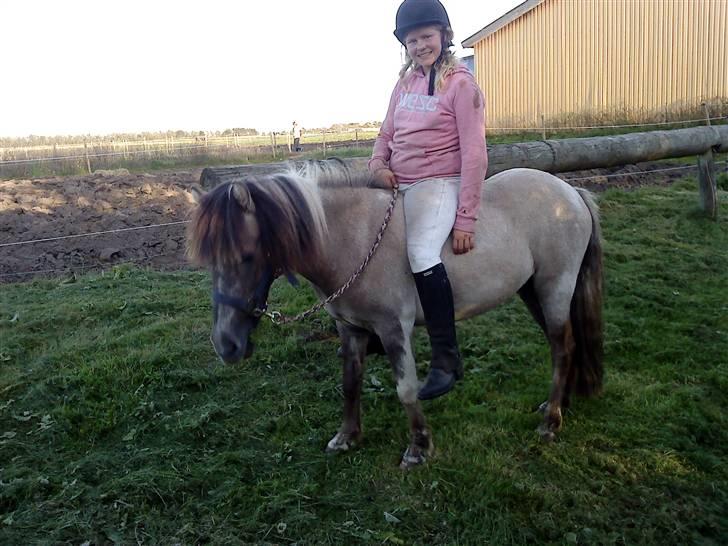 Anden særlig race Sir Duke - elsker dig så højt skat <3 billede 14