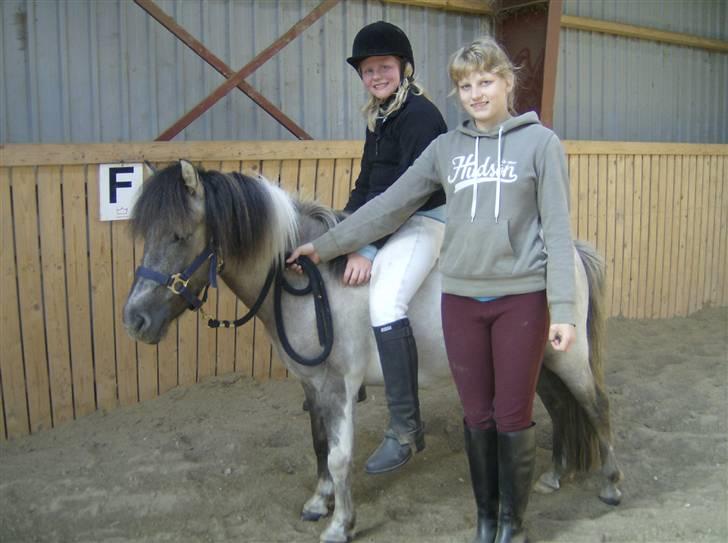 Anden særlig race Sir Duke - Mig Kristina og Skønne Duke <3 billede 16