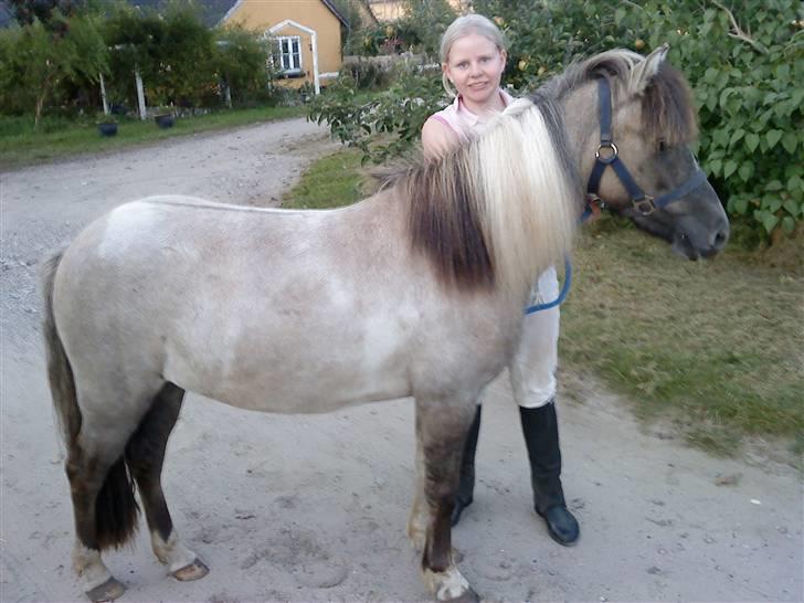 Anden særlig race Sir Duke - NYT :D opstilling :D ved godt at jeg ligner lort men Duke ser så smuk ud :D billede 17
