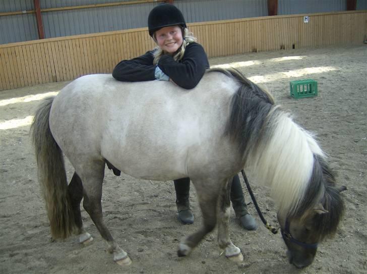 Anden særlig race Sir Duke - Hyggelig dag <3 billede 18