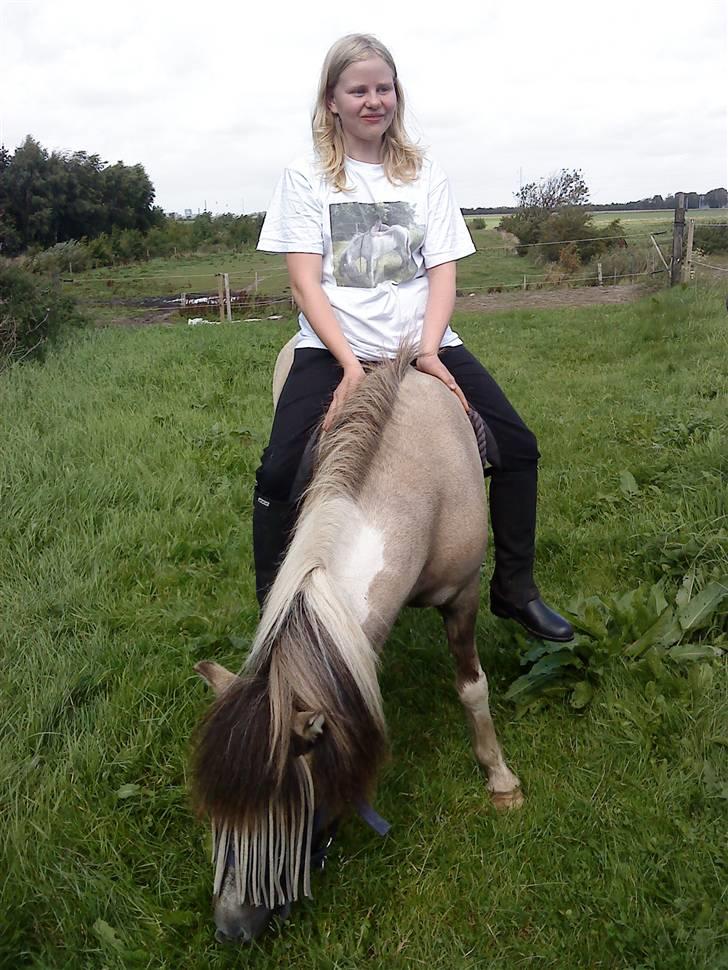 Anden særlig race Sir Duke - NYT :D tillid betyder alt <3 billede 19