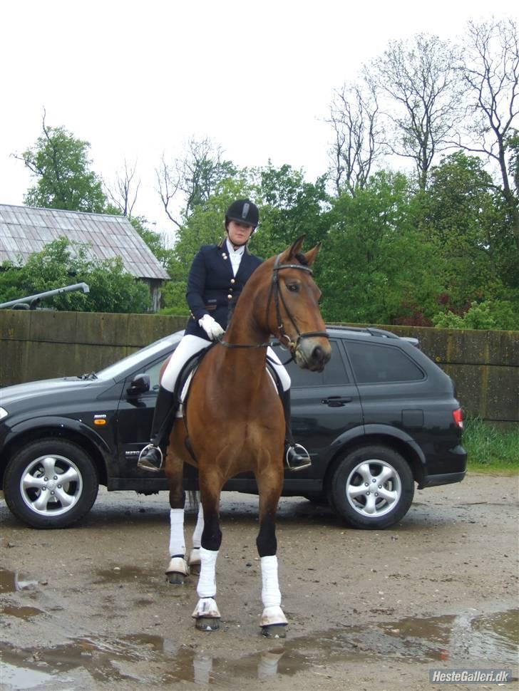 Anden særlig race Patrick  - Efter vellykket stævne i kruså 09 :)  billede 11