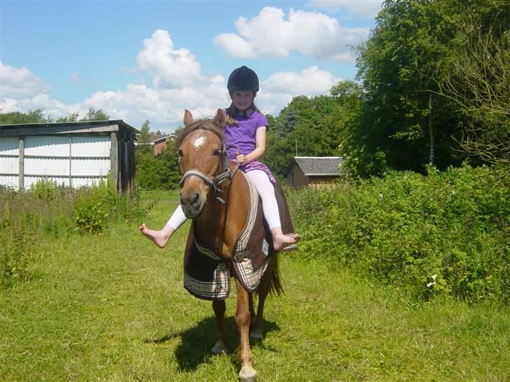 Anden særlig race Silas - Jaa ikk vifte så meget med fuserne Maja jeg kan godt sse dem. Foto Camilla billede 16