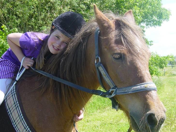 Anden særlig race Silas - Så siger hun farvel vi elsker hianden :´(Foto Camilla billede 19