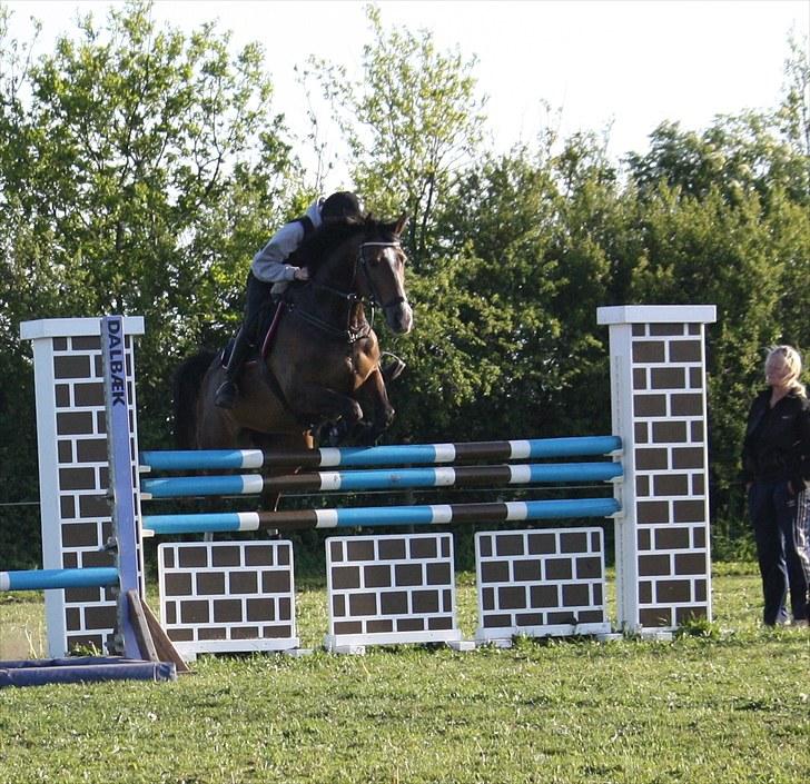 Anden særlig race Chateau - Springtræning d. 3/6-10 :D Foto: Kirstine Brunsgaard. billede 8