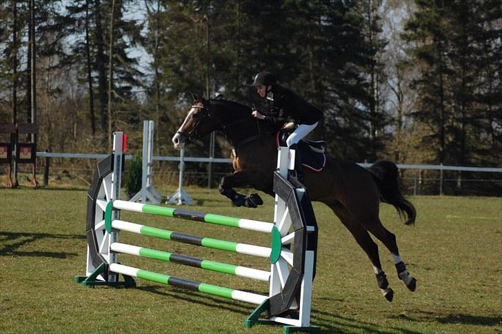 Anden særlig race Chateau - Distriktstævne i Grindsted, d. 24/4-10. ULB - fejlfri :) Foto: Sandra Wanner. billede 9