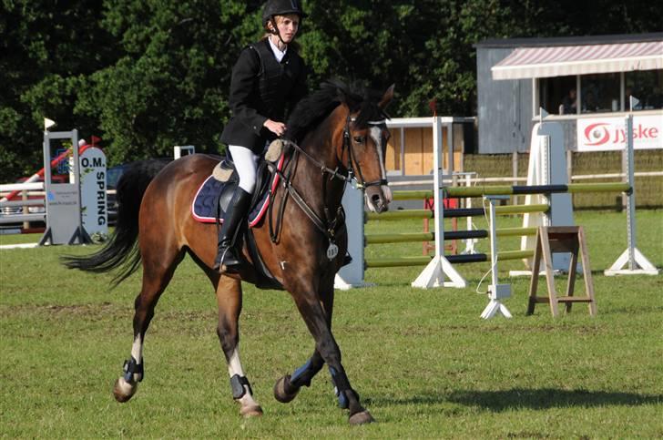 Anden særlig race Chateau - Lige redet en fejlfri runde i 110 i Billund, som vi vandt :) Foto: Trine Hobel. billede 16