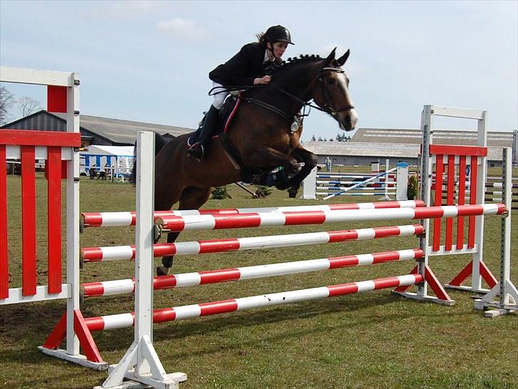 Anden særlig race Chateau - Distriktstævne i Grindsted, d. 24/4-10. ULB - fejlfri :) Foto: Simone Lykke Hansen. billede 10