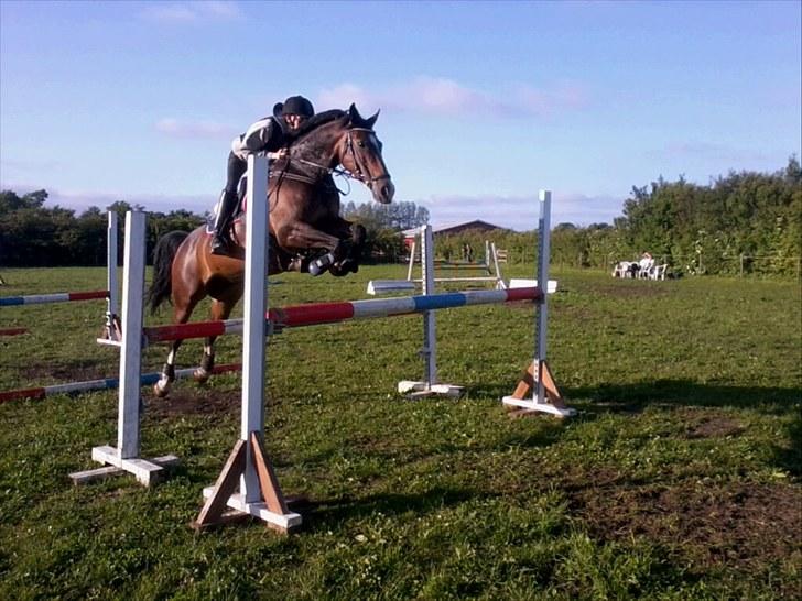 Anden særlig race Chateau - Springtræning d. 17/6-10 :D Foto: Simone Lykke Hansen - taget på mobil, derfor kvaliteten, og dens hoved ser ultra langt ud her! :D billede 11