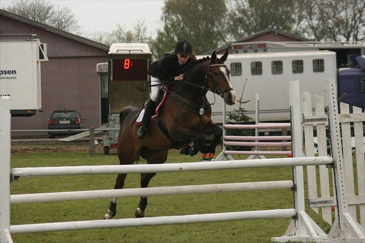 Anden særlig race Chateau - Distriktstævne i Sdr. Hygum d. 15/5-10 i ULB*. Cutiiie :D Foto: Annemette Nielsen. billede 12