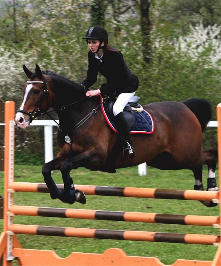 Anden særlig race Chateau - Distriktstævne i Dalumgård - d. 29/5-10 - LB**. Foto: clarasophiechop.webs.com billede 13