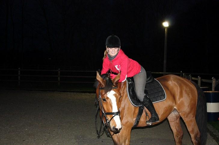 Hollandsk Varmblod Why Not - aflivet :( - jeg vil altid elske dig basse! billede 20