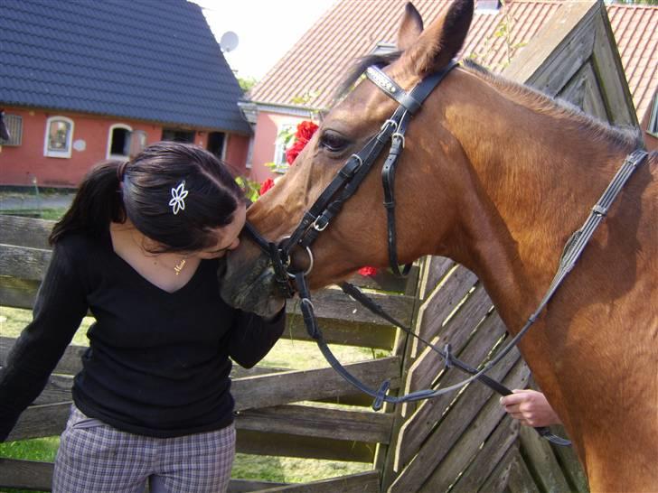 Anden særlig race Tequila - Min pony.... billede 11