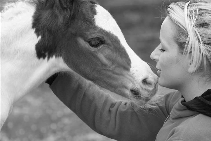 Pinto Amira De'Evolet <3 "Baby" †  - Kærlighed ved første blik :´) <3 billede 11