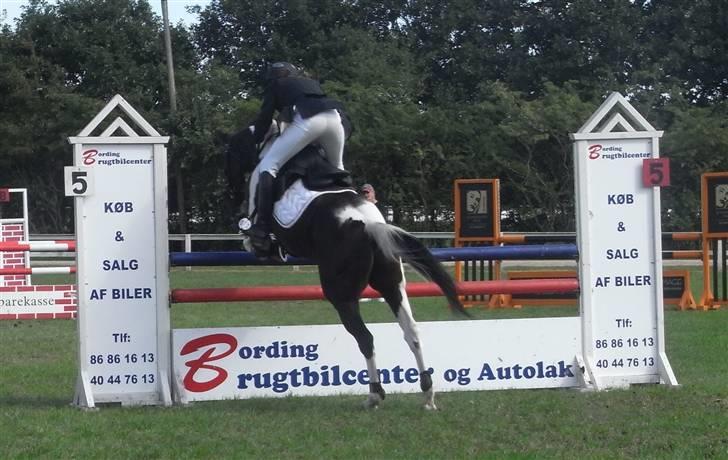 Pinto Hot pinto - Remember the first time I looked into your eyes, it was like God was there; heaven in the skies<3 billede 12