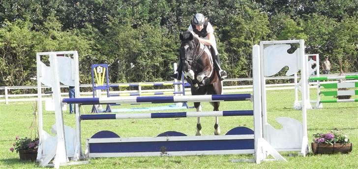 Pinto Hot pinto - You´ll come back? When it´s over? No need to say goodbye )´: I thought so!! I still do. billede 13