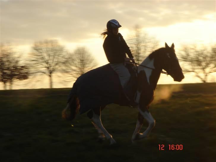 Pinto Hot pinto - And I still miss you, I do. You have to believe me! But now I know, I didn´t do the right thing.. I made the wrong dessicion. billede 14