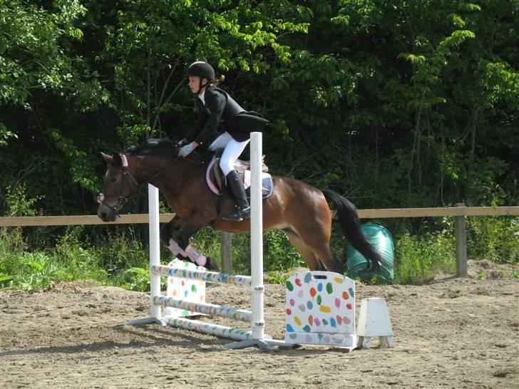 Anden særlig race May-day<3 *solgt* billede 14