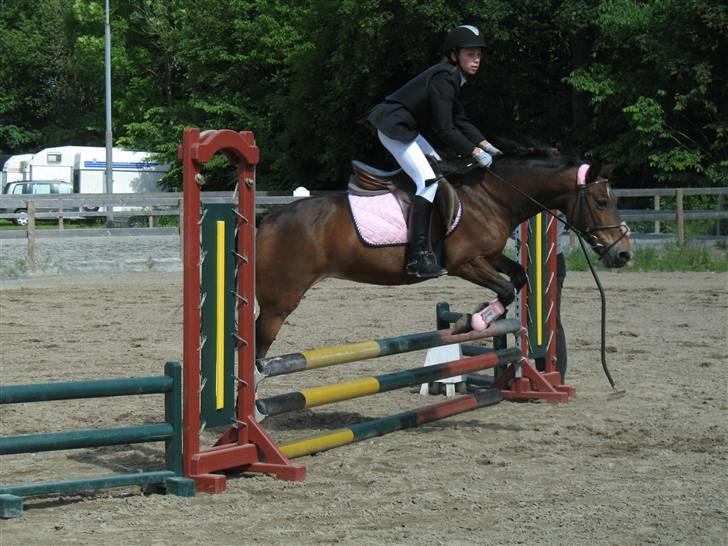 Anden særlig race May-day<3 *solgt* billede 15