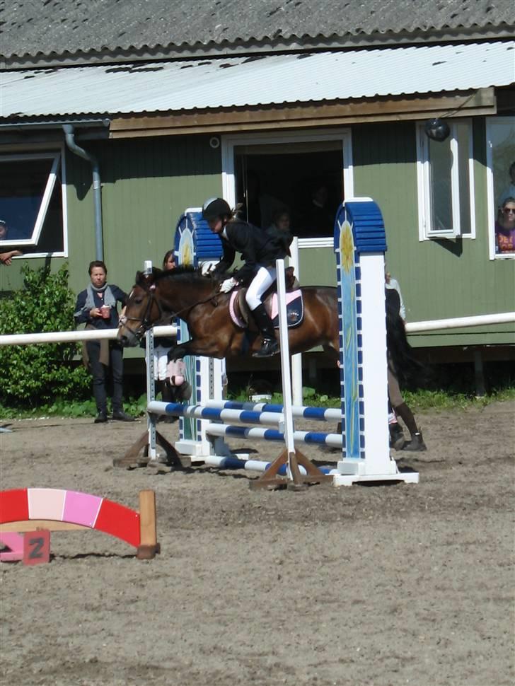Anden særlig race May-day<3 *solgt* billede 17