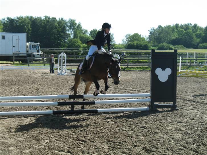 Anden særlig race May-day<3 *solgt* billede 18