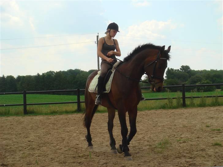 Anden særlig race bravour:) solgt og SAVNET billede 17