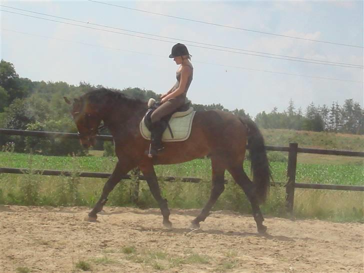 Anden særlig race bravour:) solgt og SAVNET billede 18