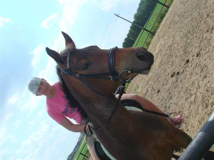 Anden særlig race bravour:) solgt og SAVNET billede 19