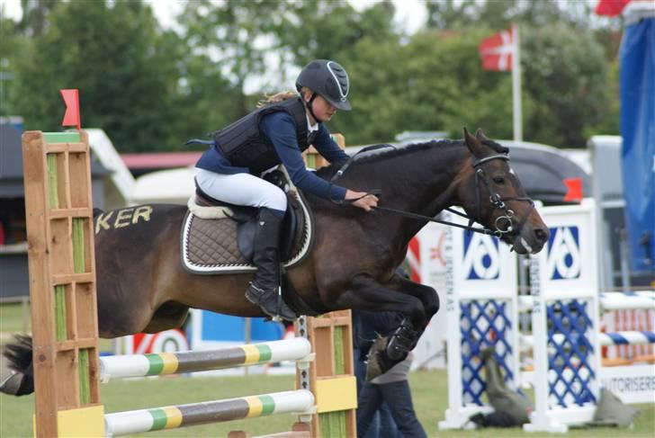 Anden særlig race Mystery Man (SOLGT) - Jar og vi klare det!!! Foto:Linnea! billede 10