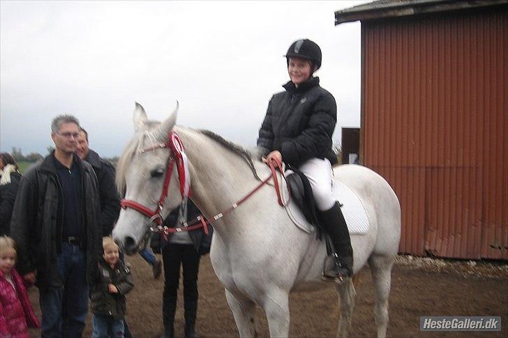 Arabisk fuldblod (OX) Joy Salina - ögså et billede af et af mine første stævner :-) billede 15