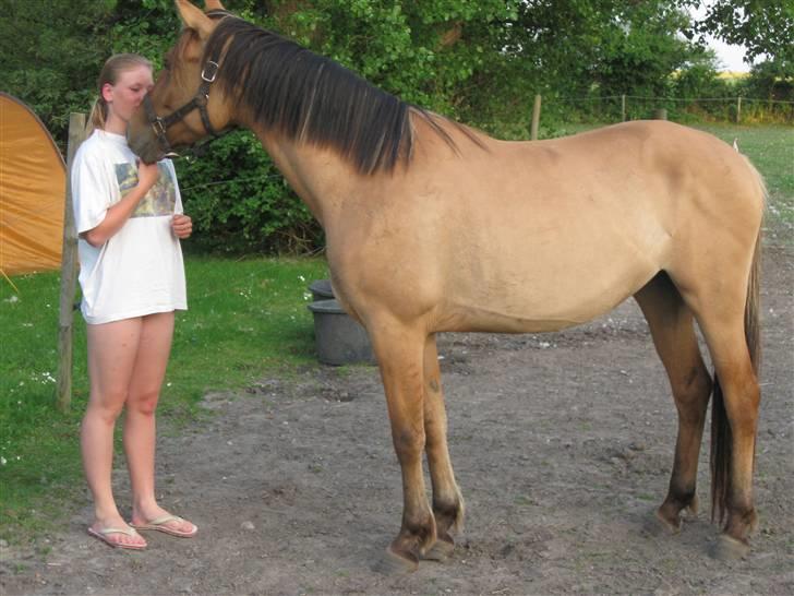 Anden særlig race Star Solgt - Er hun ikke bare sød<33 billede 3