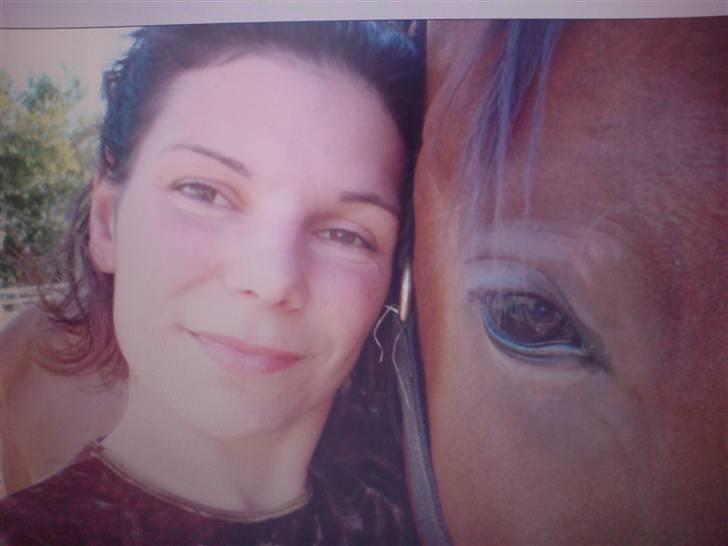 Traver avalon billede 7