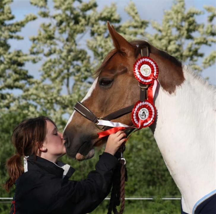 Paint Vigilia E H Surprise *RIP:'(<3* - de placeringer jeg er mest stolt af på den pony jeg elsker allerhøjest! <3 billede 19