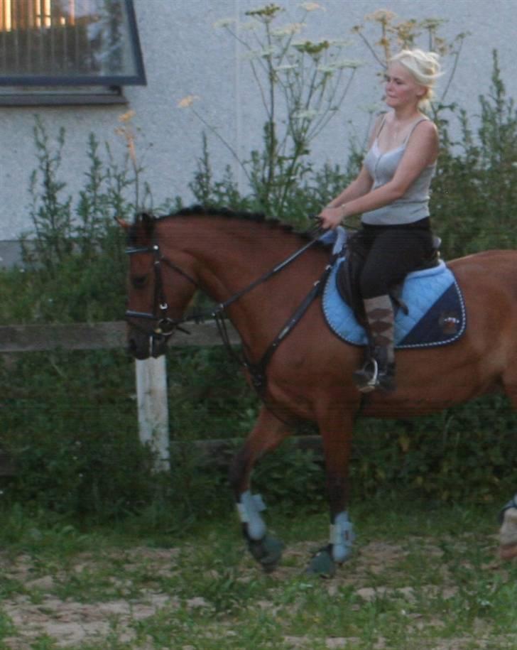 New Forest Delicious (solgt) billede 13