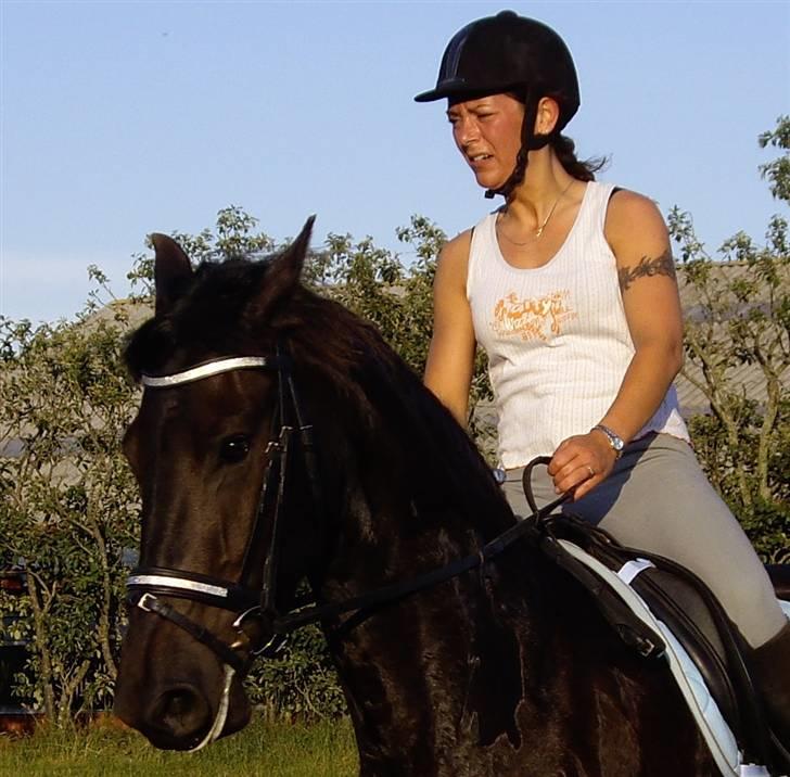 Frieser Tjoke billede 10