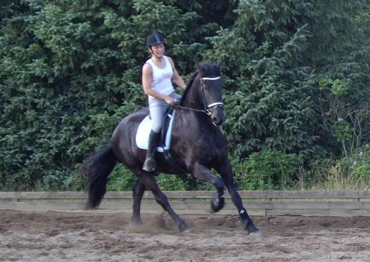 Frieser Tjoke billede 12