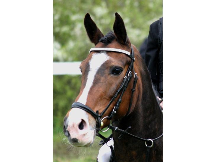 {{currentPhoto.altText}} billede {{currentPhoto.number}}