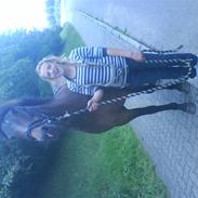 Anden særlig race AMALIE<3GAMMELPART)SAVNET