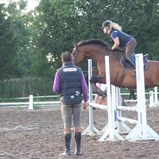 Dansk Varmblod Boulou