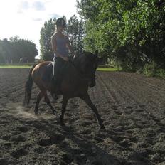 Anden særlig race Wi Linnea