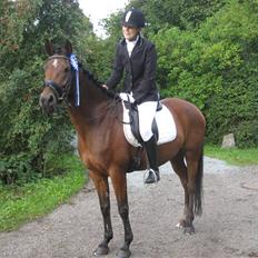 Anden særlig race Wi Linnea