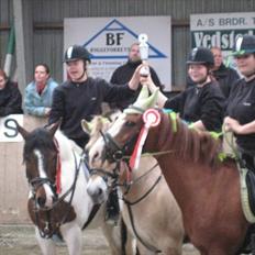 Hollandsk Sportspony Jade<3 Princess <3 :* den bedste himmel hest 