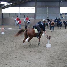 Hollandsk Sportspony Jade<3 Princess <3 :* den bedste himmel hest 